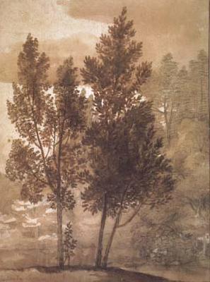 Claude Lorrain Trees (mk17) Spain oil painting art